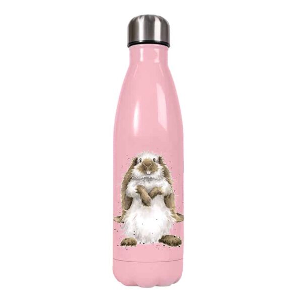 guinea pig water bottle