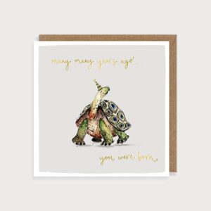 80 Years Young Tortoise Birthday Card