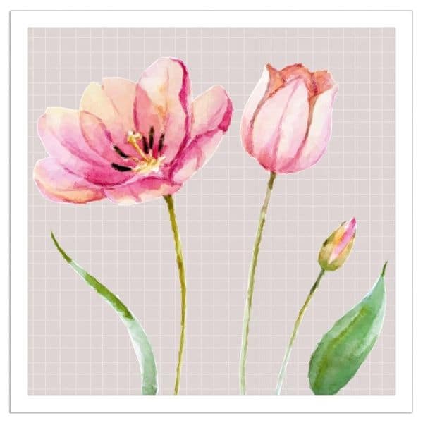 Pink Tulip Napkins
